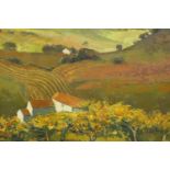 Alan Cotton (Contemporary) "Hillside Orchard in the Luberon", a rich, sun-bleached hillside in