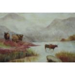 An early 20th Century painting on glass of highland cattle on the heather covered banks of a