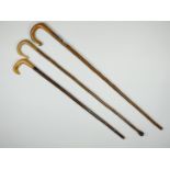 Three horn handled walking canes, longest 112 cm