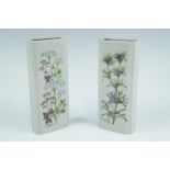 A pair of early 20th Century bisque wall pockets, of plain form having transfer decorated glazed