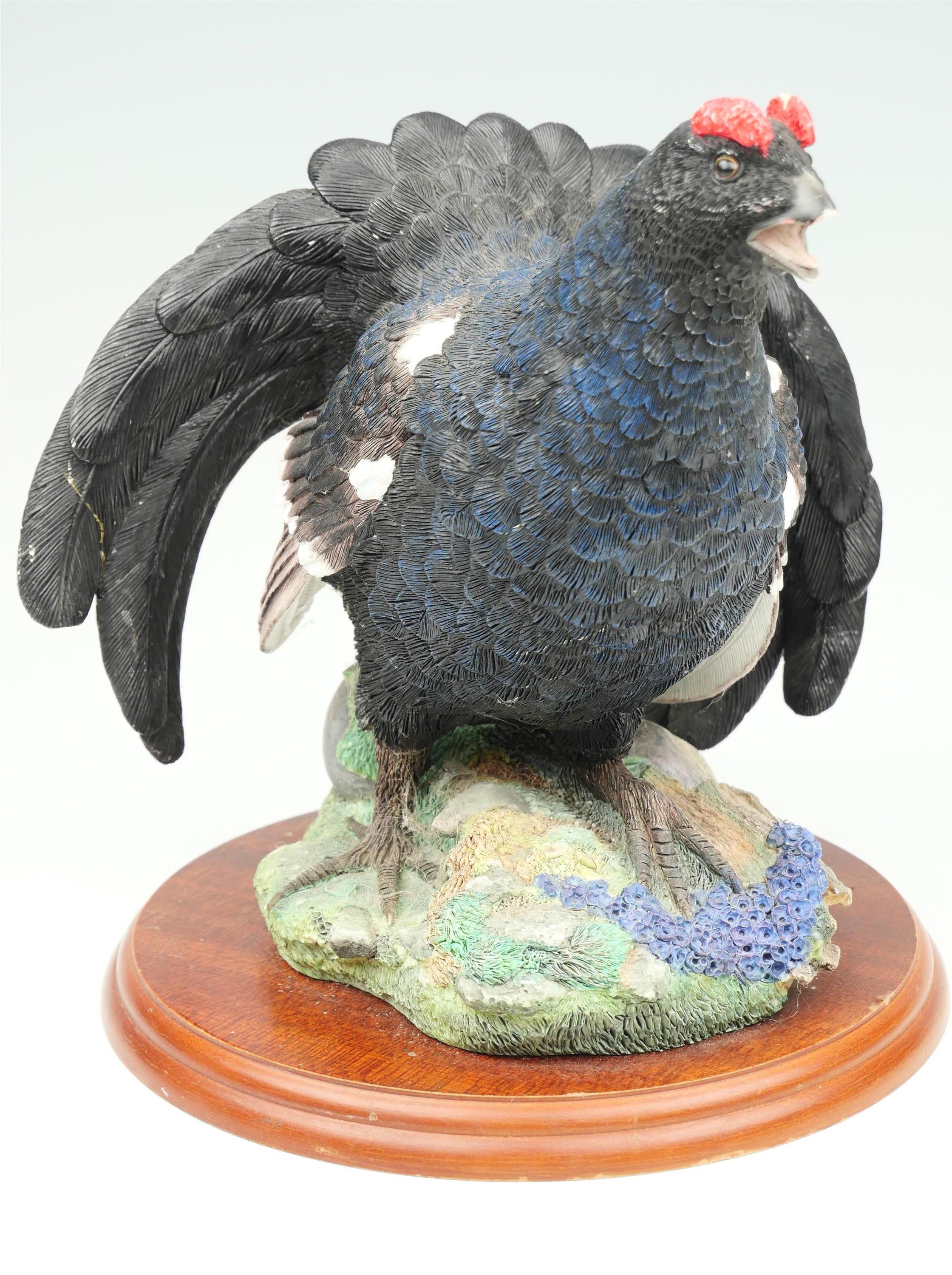 A Border Fine Arts, 'Blackcock', 23 cm high