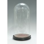 A 19th Century glass dome on a turned wooden base, dome 20 x 41 cm internal