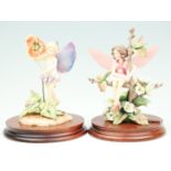 Two Border Fine Arts flower fairies, 'Pansy' and 'Wild Cherry', tallest 20 cm