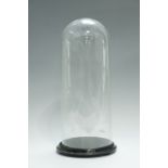 A 19th Century glass dome on a turned wooden base, dome 17.5 x 43 cm internal