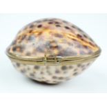 A 19th Century cowrie shell purse / box, having gilt metal mounts with wire hinges and catch, 6.5