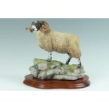 A Border Fine Arts ram, 24 cm x 23 cm