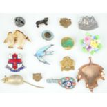 A group of badges, including Girl Guides, RNLI, Ornithological Society, etc