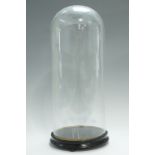 A 19th Century glass dome on a turned wooden base, dome 21 x 51 cm internal