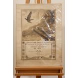 1920s French lithographic military carrier pigeons prize certificate, 1927, signed, 77 cm x 57 cm