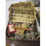 Box containing a quantity of fossils and mineral samples