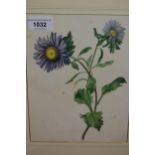 19th Century watercolour, still life, botanical study, 9ins x 6.75ins, gilt framed, together with