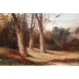 19th Century oil on canvas, a wooded lake scene, signed indistinctly, 7ins x 9.5ins, gilt framed