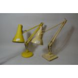 Mid 20th Century Anglepoise lamp by Herbert Terry & Sons, Redditch, in original yellow finish