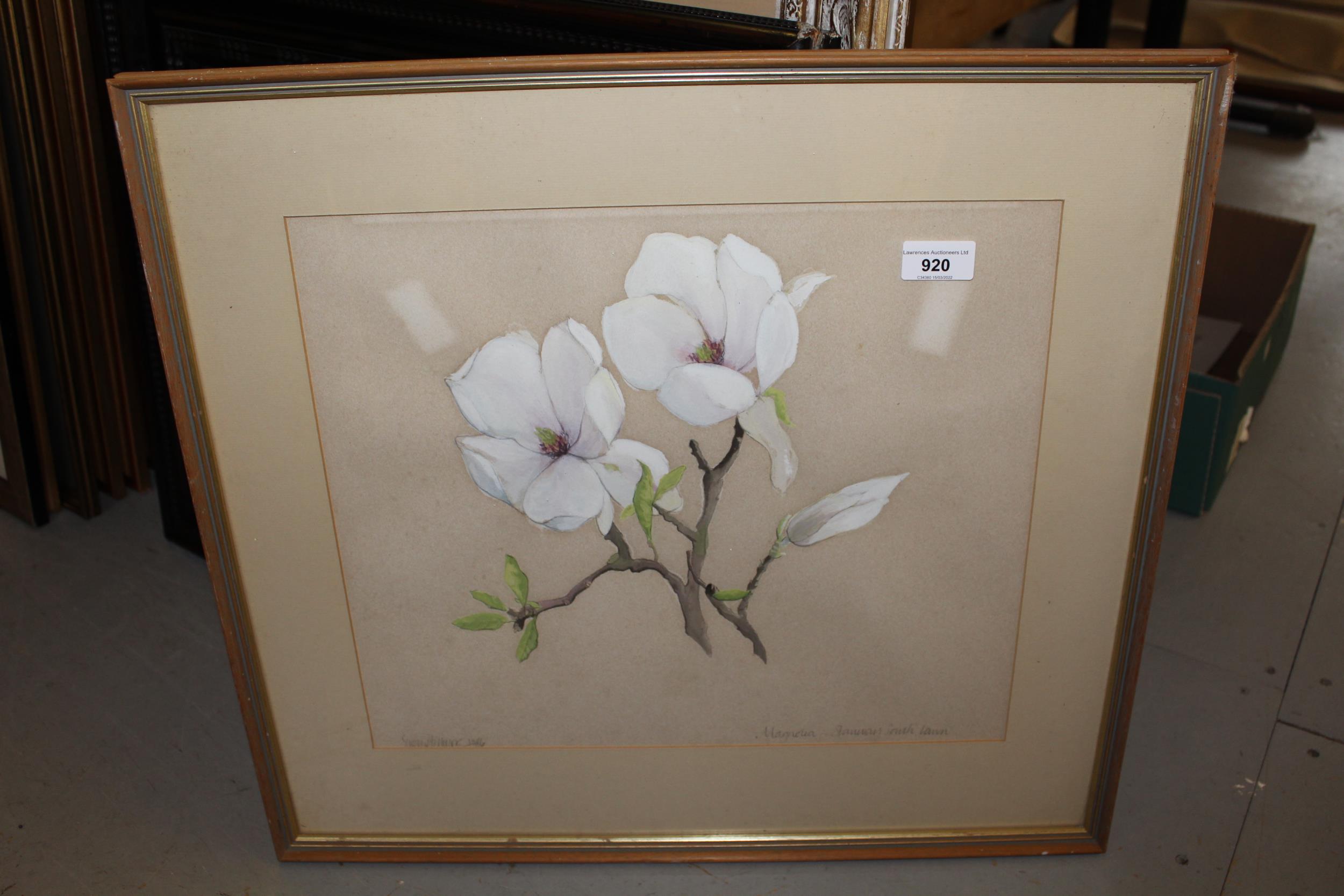 Watercolour, study of magnolia blossom, indistinctly signed, possibly Susan Hillman, 1986, 13ins x - Image 2 of 2