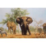 David Shepherd, signed colour print ' An African Landscape ', together with another