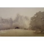 Attributed to Tom Carr, watercolour misty landscape with cattle, signed T. Carr, unframed, 12ins x