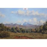 A.R Swift (South African), watercolour landscape, signed and dated 1978, 13ins x 21.5ins, together