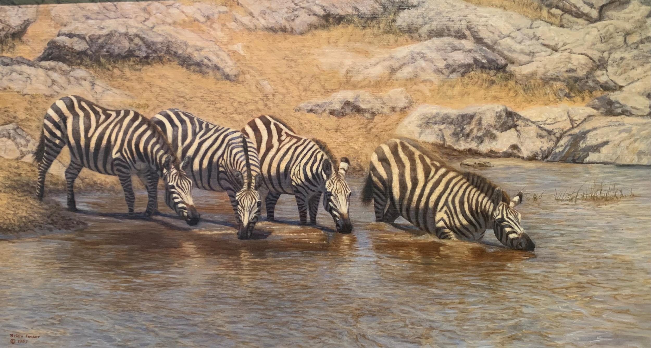 Brian Foster, oil on canvas, group of four zebra at a waterhole, signed and dated 1987, 16ins x