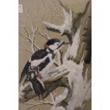 K. Brandwood, mixed media study of a woodpecker in snow, 13.5ins x 10ins approximately, gilt framed