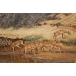 Brian Foster, oil on canvas, group of gazelle at a waterhole, signed and dated 1988, 10ins x 14ins