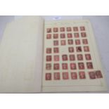 Various loose pages mounted with a collection of 19th Century Penny Red stamps