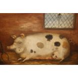 20th Century Naïve School, oil painting on board, study of a pig together with a similar study of