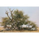 David Shepherd, signed coloured print ' Arabian Oryx ', No. 669 of 1500, 18ins x 30ins framed,