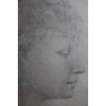 Pre-Raphaelite style pencil drawing, head study of a young lady, 6.5ins x 5.5ins