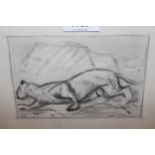 Attributed to Fritz Hug, charcoal drawing, study of a panther, signed Hug ?