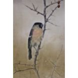 Arthur Wardle, oil on canvas board, study of a bullfinch, signed, 15ins x 9.75ins, gilt framed