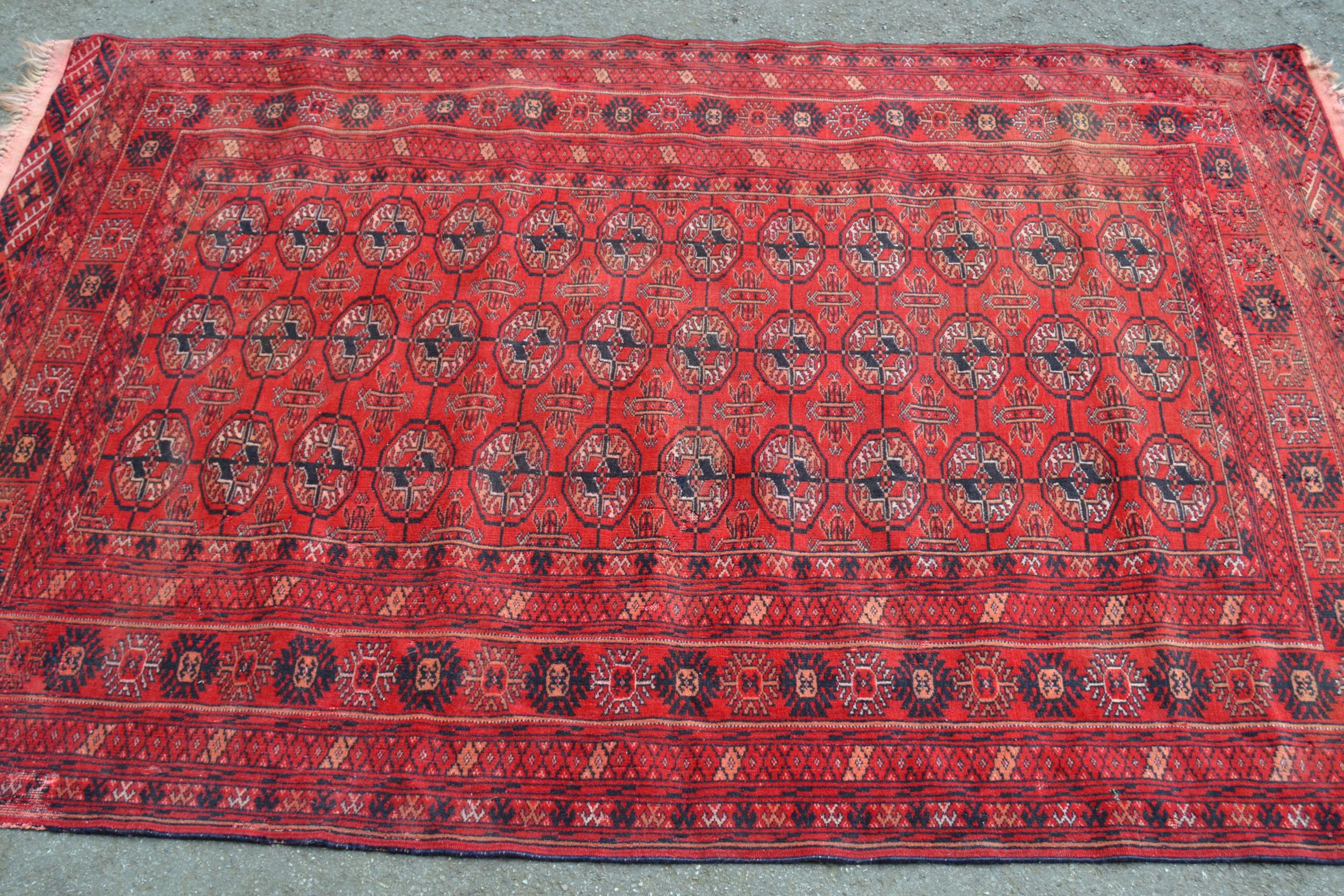 Small Turkoman rug with three rows of twelve gols on a wine ground with multiple borders, 5ft