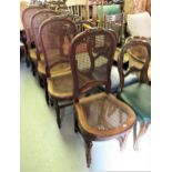 Set of four late 19th / early 20th Century French walnut salon chairs with caned back and seats,