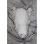 Gary Hodges, artist signed monochrome print, a polar bear swimming, unframed