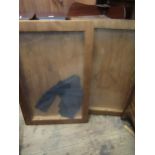 Pair of large plywood and perspex table display cabinets, 24ins x 36ins