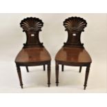 Pair of Regency mahogany hall chairs, the finely carved shell backs above panel seats and turned