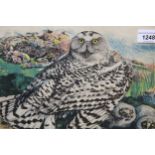 Limited Edition print No. 4 of 50, an owl and owlets by Timothy Greenwood, and another Limited