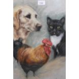 Marjorie Cox, signed pastel, portraits of a dog, cat and cockerel, 21ins x 17.5ins