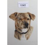 Tracey Brock, watercolour head study of a dog, dated 1990, 8ins x 6ins and another by the same