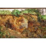 Early 20th Century, oil on canvas laid on board, wild flowers by a rock formation, indistinctly