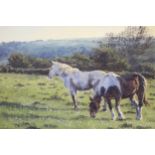 Stephen Hawkins, signed oil on canvas, horses in a landscape, inscribed verso. 'Companions', framed,