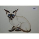 K. Nixon, signed watercolour and pencil portrait of a Siamese cat, 10ins x 12.5ins