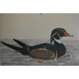 Dan Mitra, set of four artist signed proof Limited Edition etchings, various ducks, 15ins x 20ins,