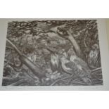 The Society of Wood Engravers folio, ' The Great Storm of October 1987 ', containing five signed