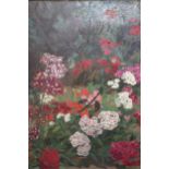 Fred Wilson, signed oil on board, Auricular in a garden border, 17.5ins x 13ins