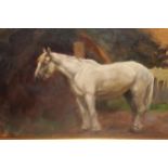 Early 20th Century oil on panel, portrait of a white horse in a landscape, 7ins x 11.5ins