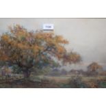 S. Grant Rowe, signed watercolour, rural landscape, inscribed on original frame ' Under The Oak Tree