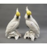 J.T Jones for Crown Staffordshire, pair of large porcelain figures of cockatoos, 13.5ins high One