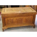 Chinese hardwood blanket box, the panelled top and front with Chinese character marks, on cabriole