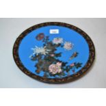 Japanese circular cloisonne wall plate, decorated with a butterfly and flowers, 12ins diameter