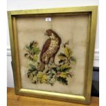 Late 19th / early 20th Century woolwork picture of a bird of prey, gilt framed, 27ins x 24ins